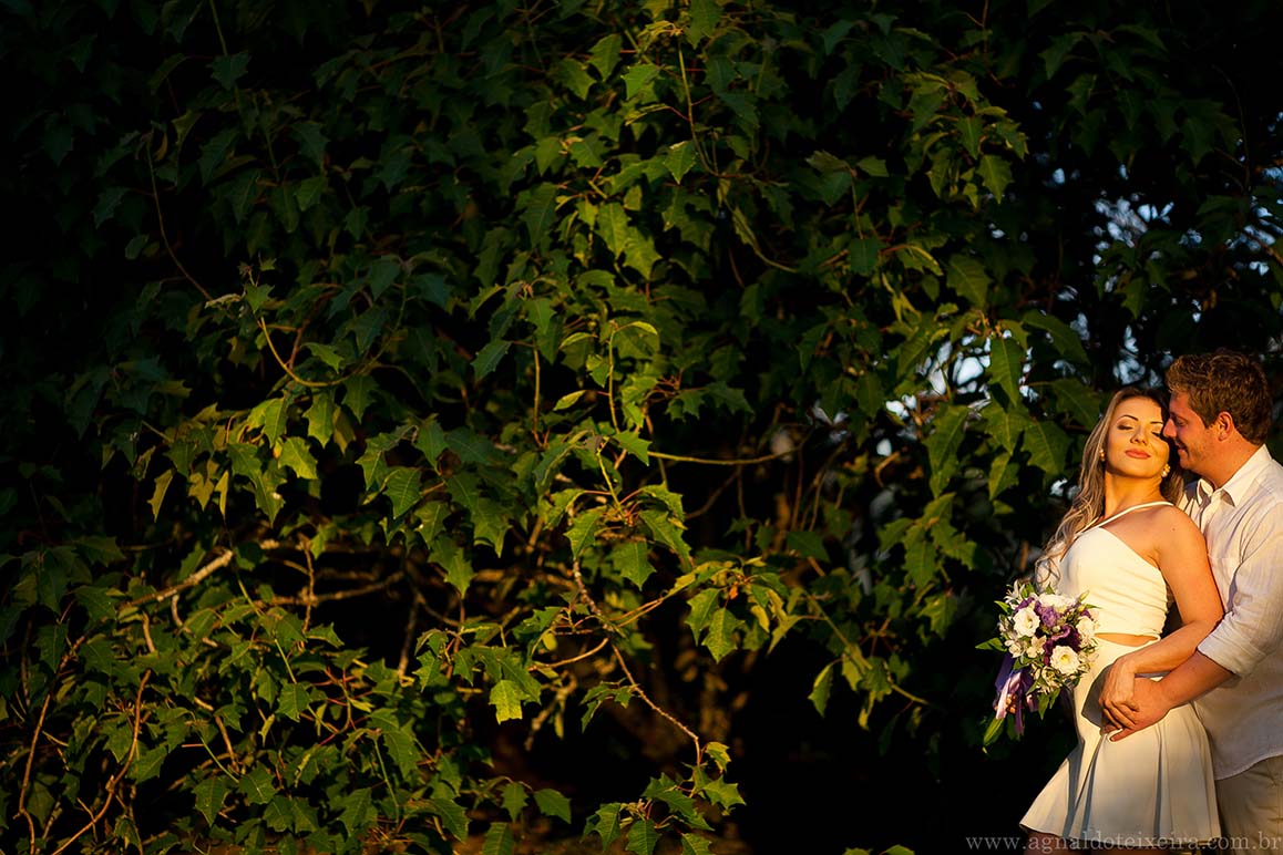 Pré Wedding - Ensaio de Casal - Fotos de Casal - Book Externo - Ensaio de Casal Externo - Pré Wedding - Foto de Casal na Laggus Residencial Nautico -  Fotos de Casal na Laggus Residencial Nautico - Fotos na Laggus Residencial Nautico - Fotógrafo de Casamento em Curitiba- Curitiba Paraná - Wedding - Fotos no Por do Sol - Por do Sol - Ensaio com Cachorro - Pessoas que amam Cachorro - Cachorro - Fotógrafo de Casamento em Ponta Grossa - Fotógrafo de Casamento em Baurú - Photo - Foto de Família - Casamento em Curitiba - 